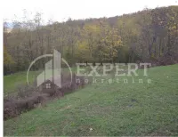 Kuća, Supovac — fotografija 9