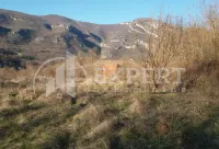 Plac, Ostrovica — fotografija 2