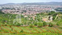 Plac, Trošarina — fotografija 9