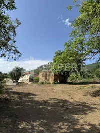 Plac, Sićevo — fotografija 2