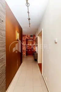 Stan, Centar — fotografija 12