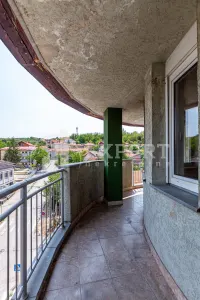 Stan, Palilula — fotografija 16