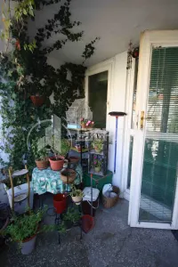Poslovni prostor, Bulevar Nemanjića — fotografija 13