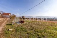 Kuća, Donje Vlase — fotografija 19
