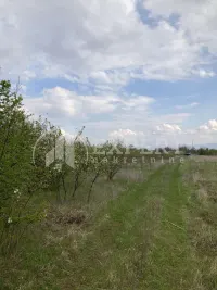 Plac, Vrtište — fotografija 4
