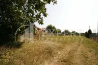 Plac, Ratko Jović — fotografija 3