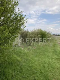 Plac, Vrtište — fotografija 5
