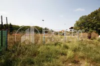 Plac, Ratko Jović — fotografija 2