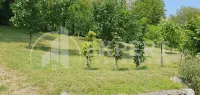 Kuća, Sićevo — fotografija 7