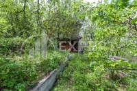 Kuća, Delijski vis — fotografija 3
