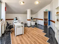 Poslovni prostor, Crveni pevac — fotografija 13