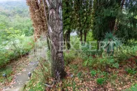 Kuća, Ostrovica — fotografija 9