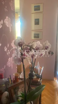 Stan, Tehnički fakultet — fotografija 7