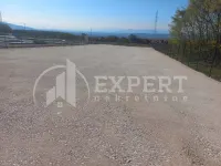 Plac, Pasi poljana — fotografija 5