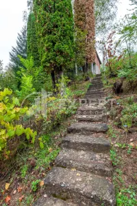 Kuća, Ostrovica — fotografija 10