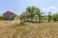 Kuća, Donje Vlase — fotografija 15