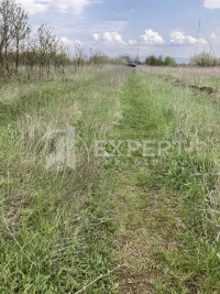 Plac, Vrtište — fotografija 2