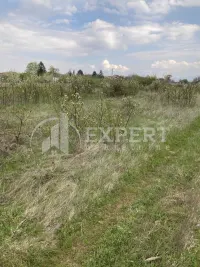 Plac, Vrtište — fotografija 6