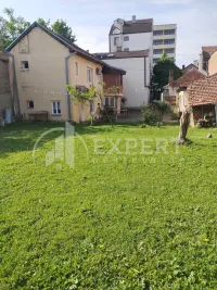 Kuća, Crveni pevac — fotografija 5
