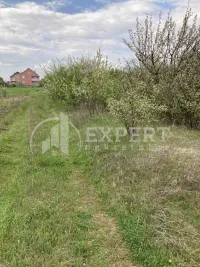 Plac, Vrtište — fotografija 3