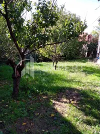Kuća, Berbatovo — fotografija 5